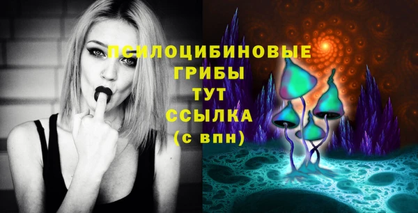 дмт Аркадак