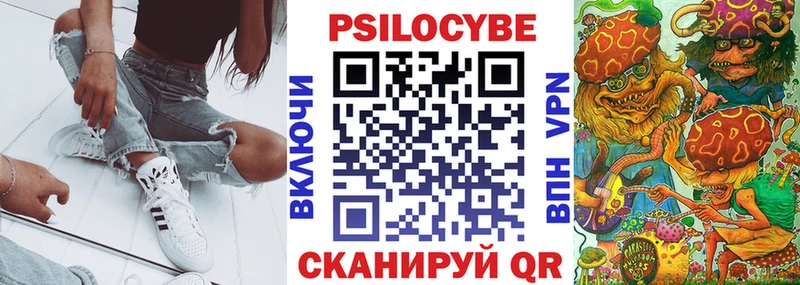 Псилоцибиновые грибы мицелий  OMG зеркало  Светлогорск 