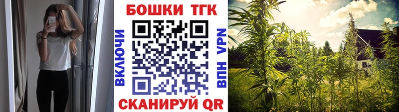 Шишки марихуана план  сколько стоит  Светлогорск 